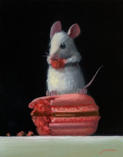 Stuart Dunkel Macaron Treat