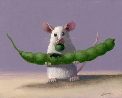 Stuart Dunkel Sweet Pea