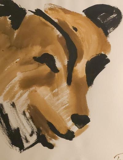 Study of a Bear for the Golden Bears by Tom Hardy 1979