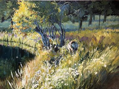 Suzanne Sandboe Under the Willows