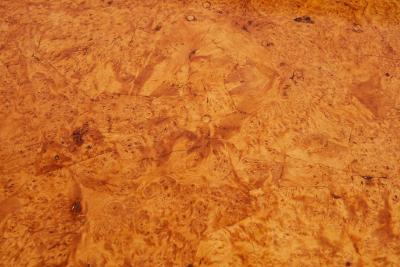 Swedish Burl Top Table