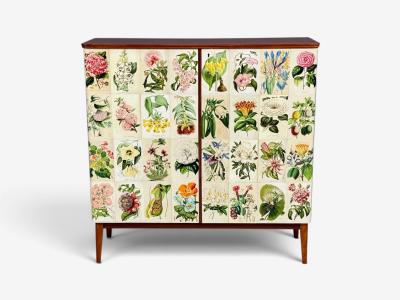 Swedish Modern La Belgique Horticole Cabinet Mahogany Sweden 1950s