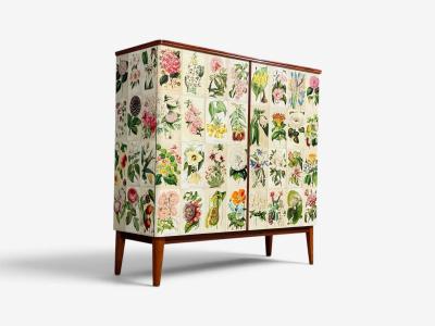 Swedish Modern La Belgique Horticole Cabinet Mahogany Sweden 1950s