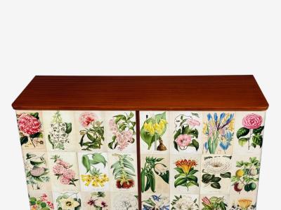 Swedish Modern La Belgique Horticole Cabinet Mahogany Sweden 1950s