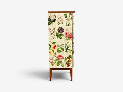 Swedish Modern La Belgique Horticole Cabinet Mahogany Sweden 1950s