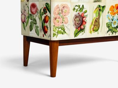 Swedish Modern La Belgique Horticole Cabinet Mahogany Sweden 1950s