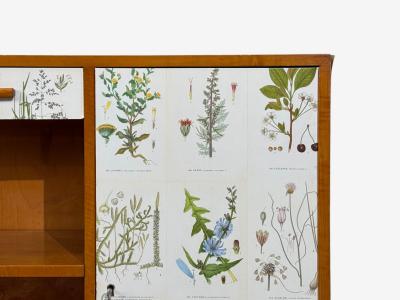 Swedish Modern Nordens Flora Bookcase Birch Floral Lithographs Sweden 1940s