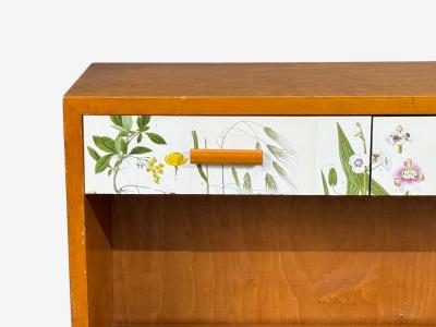 Swedish Modern Nordens Flora Bookcase Birch Floral Lithographs Sweden 1940s