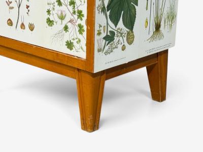 Swedish Modern Nordens Flora Bookcase Birch Floral Lithographs Sweden 1940s