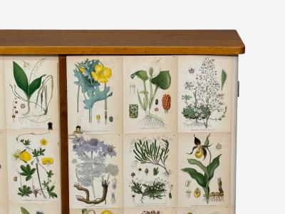 Swedish Modern Nordens Flora Cabinet Birch Floral Lithographs Sweden 1940s