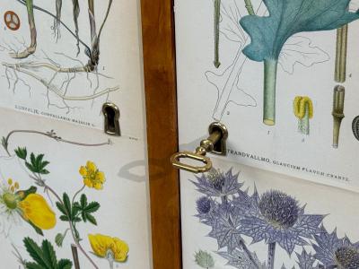 Swedish Modern Nordens Flora Cabinet Birch Floral Lithographs Sweden 1940s
