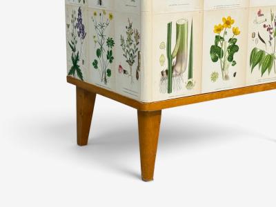 Swedish Modern Nordens Flora Cabinet Birch Floral Lithographs Sweden 1940s