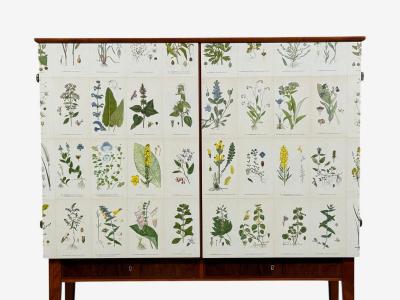 Swedish Modern Nordens Flora Cabinet Birch Floral Lithographs Sweden 1940s