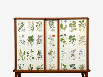 Swedish Modern Nordens Flora Cabinet Mahogany Lithographs Sweden 1940s