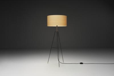 Swedish Modern Tripod Floor Lamp Sweden Mid 20th Century