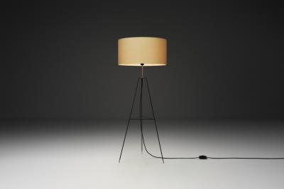 Swedish Modern Tripod Floor Lamp Sweden Mid 20th Century