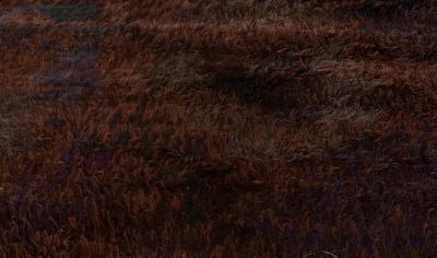 Swedish Rya Rug