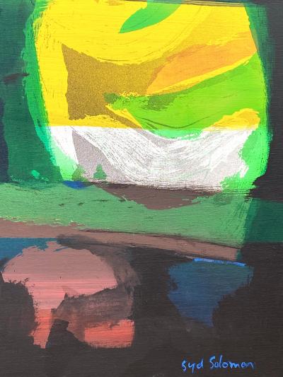 Syd Solomon Multishore 