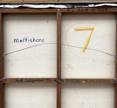 Syd Solomon Multishore 