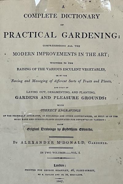 Sydenham Edwards Pair English Early 19th Century Framed Botanical Engravings