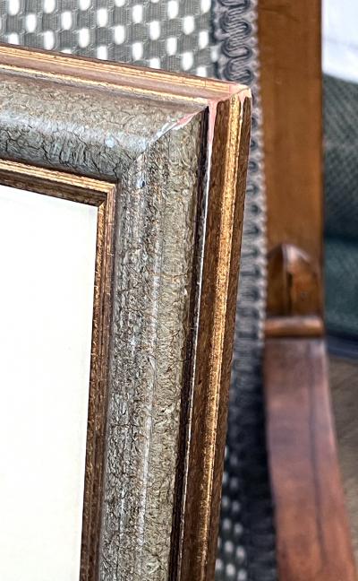 Sydenham Edwards Pair English Early 19th Century Framed Botanical Engravings