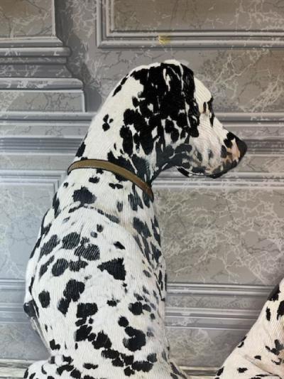 TRIO OF DALMATIANS MODERN GUSTAVIAN PAINTING