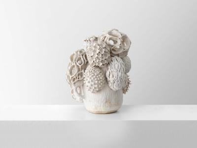 TRISH DEMASI Haeckel 2019