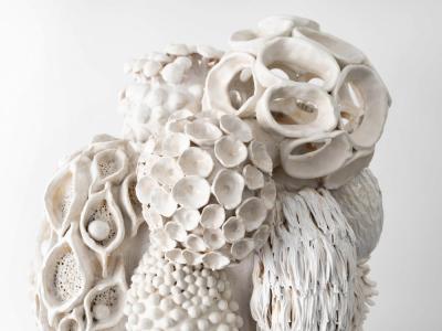 TRISH DEMASI Haeckel 2019