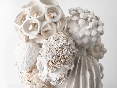 TRISH DEMASI Haeckel 2019