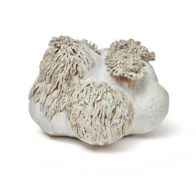 TRISH DEMASI Large Pom 2021