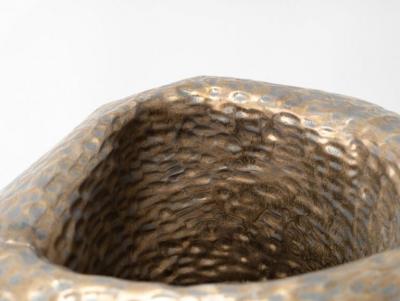 TRISH DEMASI Lotus Vessel 2022