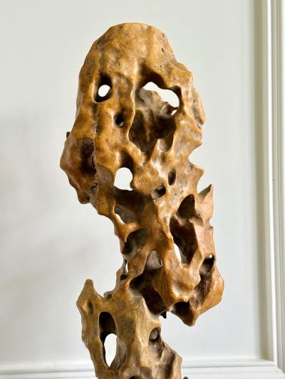 Tall Elegant Chinese Scholar Rock Yellow Taihu Stone on Wood Stand