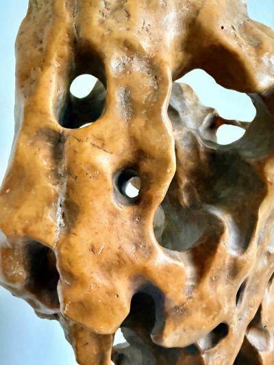 Tall Elegant Chinese Scholar Rock Yellow Taihu Stone on Wood Stand