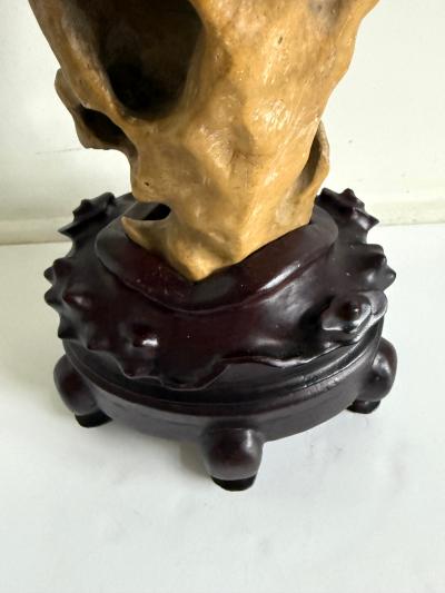 Tall Elegant Chinese Scholar Rock Yellow Taihu Stone on Wood Stand