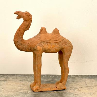 Tang Dynasty Camel China