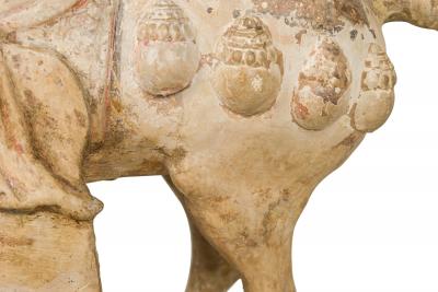 Tang Dynasty Clay Prancing Horse