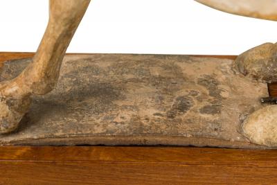 Tang Dynasty Clay Prancing Horse