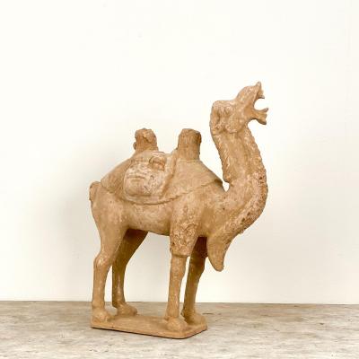 Tang Dynasty Dromidary China 8th Century