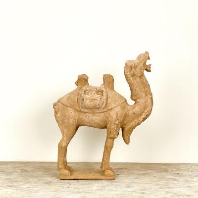 Tang Dynasty Dromidary China 8th Century