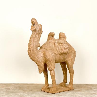 Tang Dynasty Dromidary China 8th Century
