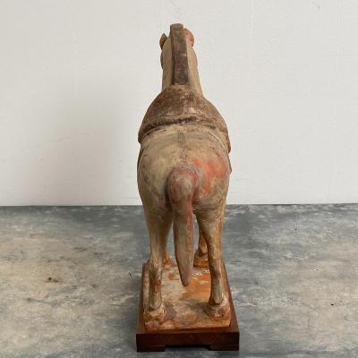 Tang Dynasty Horse China Circa 7th Century