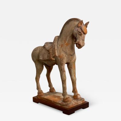 Tang Dynasty Horse China Circa 7th Century