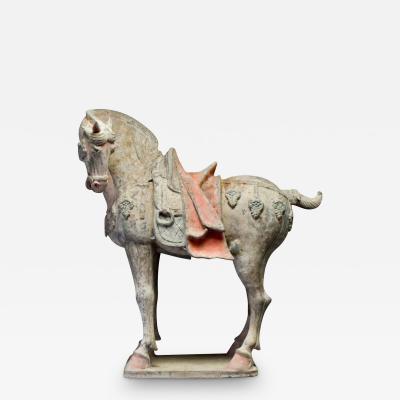 Tang Dynasty Large And Important Pottery Horse TL Tested