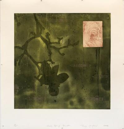 Tanja Softic Early Spring Burst 2003