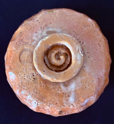 Tannyu Raku Japanese Painted Chawan Tea Bowl by Tannyu 10th Raku Edo Period