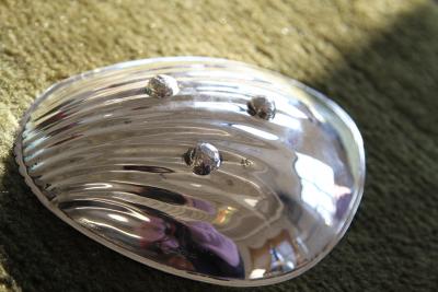 Tapio Wirkkala Tapio Wirkkala Scalloped Silver Ashtray