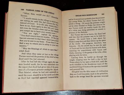 Tarzan Lord of the Jungle First Edition Second Printing