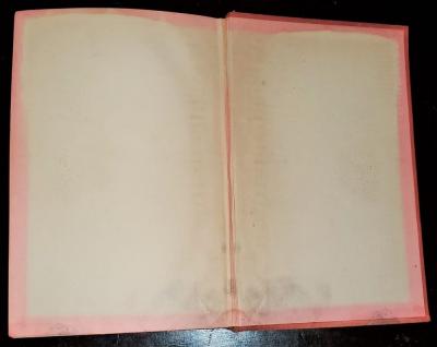Tarzan Lord of the Jungle First Edition Second Printing