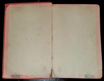 Tarzan and The Ant Men First Edition