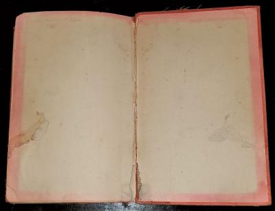 Tarzan and The Ant Men First Edition